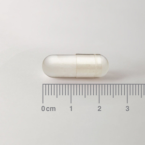 ACETIL L-CARNITINA 500 mg EN FORMA LIBRE. AMINOACIDO NO ESENCIAL