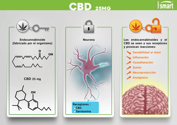 40% DTO CBD 25 mg (CAD 31/05/2024)